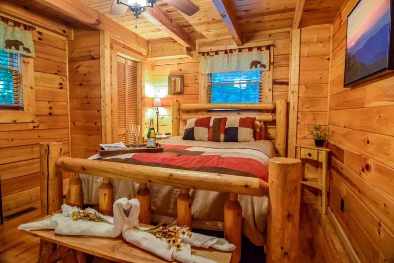 Beary Cozy Cabin Sevierville Dış mekan fotoğraf